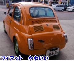 http://ecoschool8.com/@ɌPHsŏ߂ĂVEVKChC{sRo[gdũio[擾