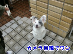 2013N1026sӂꂠtH[