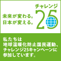 チャレンジ25キャンペーン